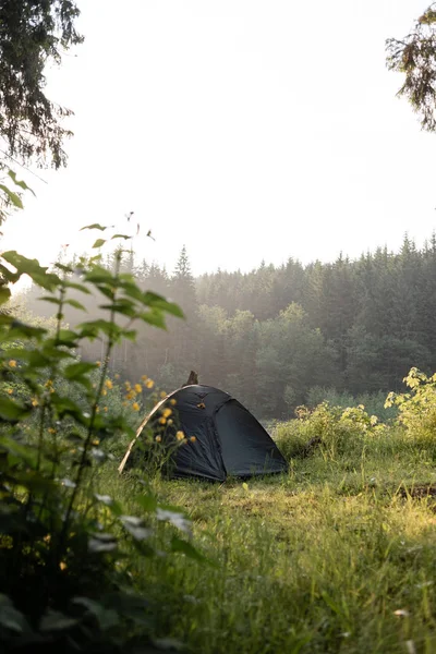 Tente touristique est dans la forêt, randonnée et camping , — Photo