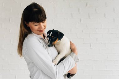 Hayvan hastalıklarıyla ilgili kaygı. Jack russell terrier veteriner Doktor ve köpek.