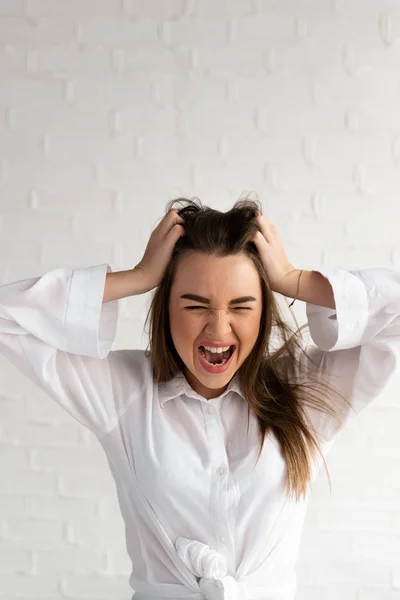 The girl is very angry, holds her hands by her head and shouts, photo on a white background — Stock Photo, Image