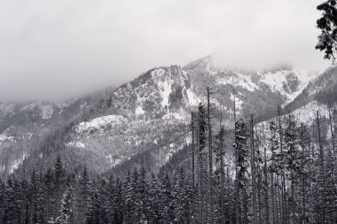 Close-up shots of clouds passing through high mountains covered in snow. European High Tatras. Ski resort in Zakopane.