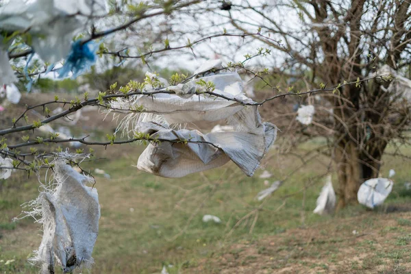 Plastic Waste Bags Bags Hang Tree Branches Lot Trash Environmental — Stock Photo, Image