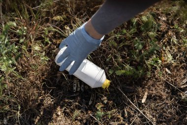 Gönüllüler parktaki çöpleri temizliyor. Lastik eldiven giyen bir kadın, çimlerden plastik bir şişe kaldırıyor. Çevre kirliliği.