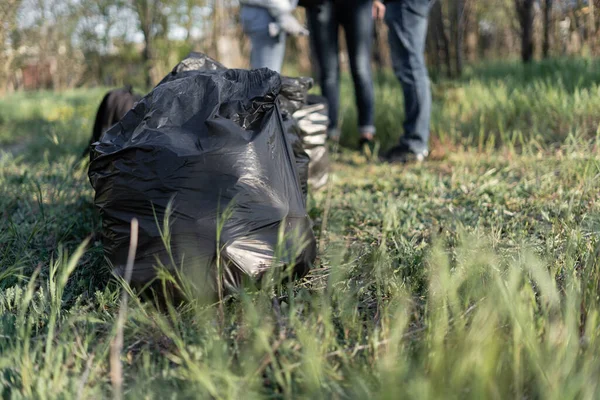 Full Trash Bag Ground Environmental Pollution Concept Volunteers Clean Waste — Stock Photo, Image