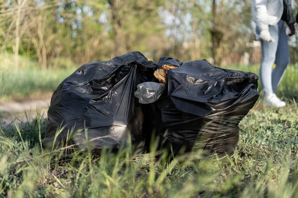 Several Black Garbage Bags Lie Grass Park Volunteers Collected Waste — Stock Photo, Image