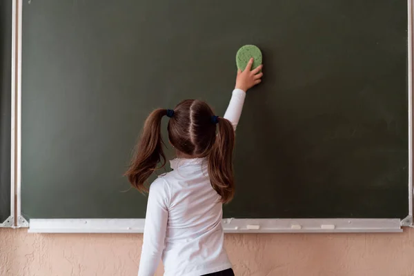 若い学生は板を拭く 彼女の頭にポニーテールの女の子が学校に行きます 教育プロセスとツール 子供の発達 — ストック写真