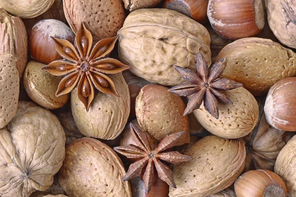Blandning av nötter och stjärnanis — Stockfoto