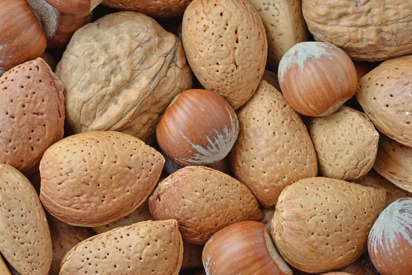 Blandning av nötter — Stockfoto