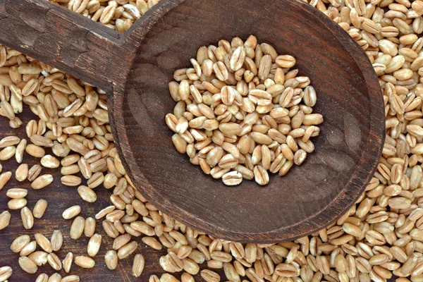 Spelt grain closeup — Stock Photo, Image