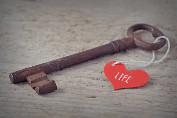 Az élet kulcsa a szeretet — Stock Fotó