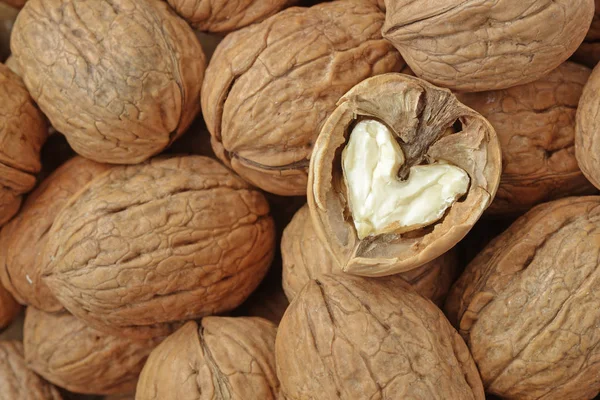 Walnut heart - macro — Stock Photo, Image