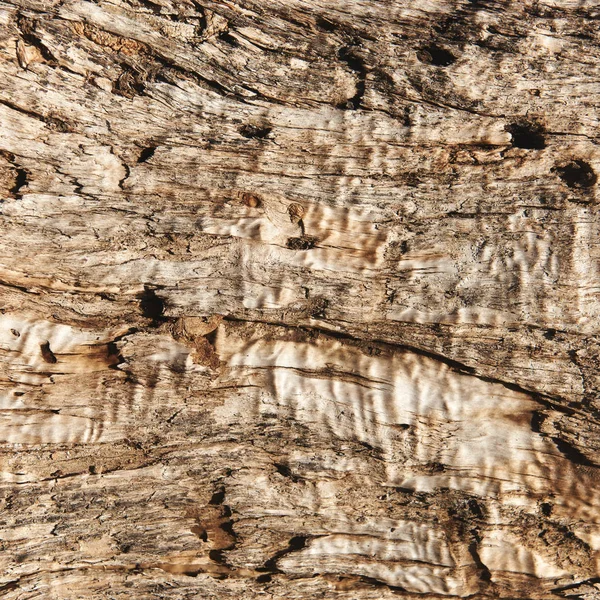 Närbild av en gammal trä textur — Stockfoto