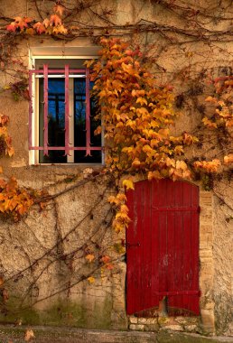 Eski bina sararmış sarmaşık ile kaplı. Retro tarz