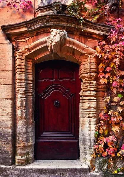 旧的法国房子外面的复古门爬满常春藤 — 图库照片