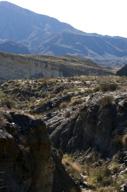 Tabernas çöl İspanya