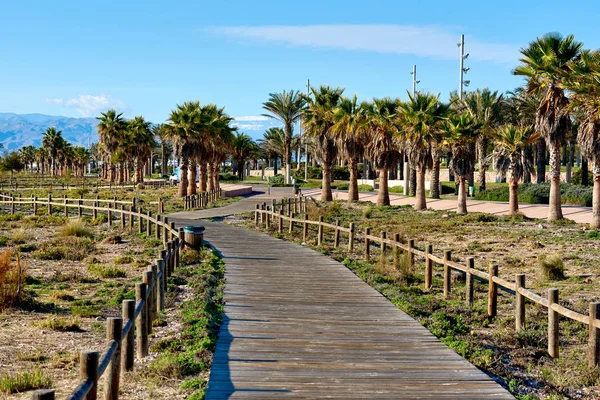 Pasarela peatonal bordeada de palmeras en el parque Retamar . — Foto de Stock