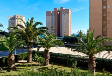 Güneşli kış gününde Dehesa de Campoamor. İspanya