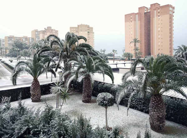 Снегопад в Кампоаморе, впервые за столетие. Испания — стоковое фото