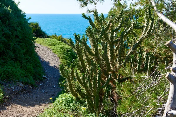 Narrow mountain footpath — Stock Photo, Image