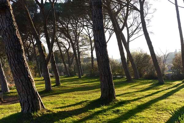 Park van Lourmarin. Provence-Alpes-Côte d 'Azur. Frankrijk — Stockfoto