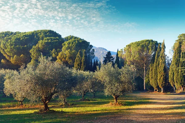 Picturesque park of Lourmarin. Spain — Stock Photo, Image