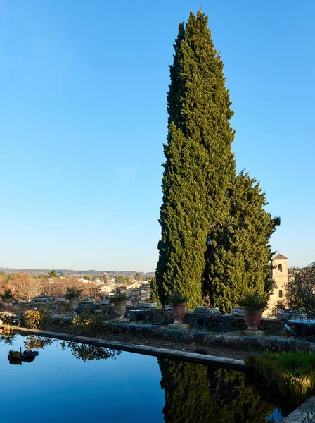 Δέντρα που αντανακλά στην πισίνα. Lourmarin χωριό στη Γαλλία — Φωτογραφία Αρχείου