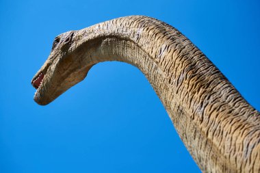 Diplodocus dinozor gerçekçi bir model