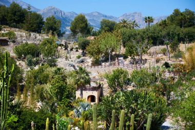 Dino Park Algar