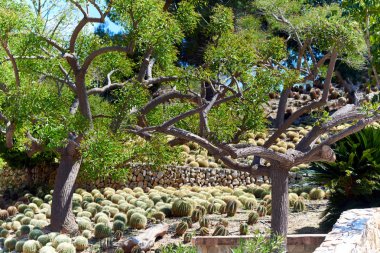 Dino Park Algar