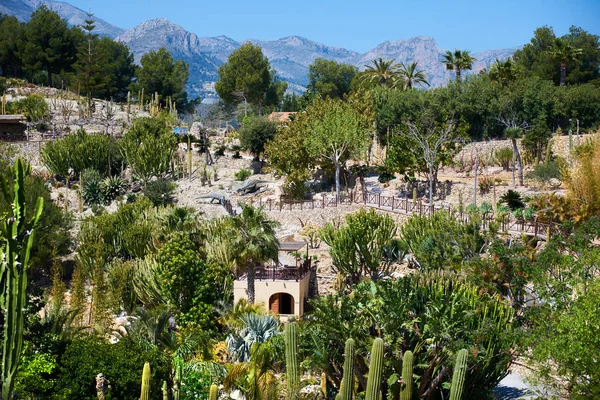 Parque Dino de Algar — Foto de Stock