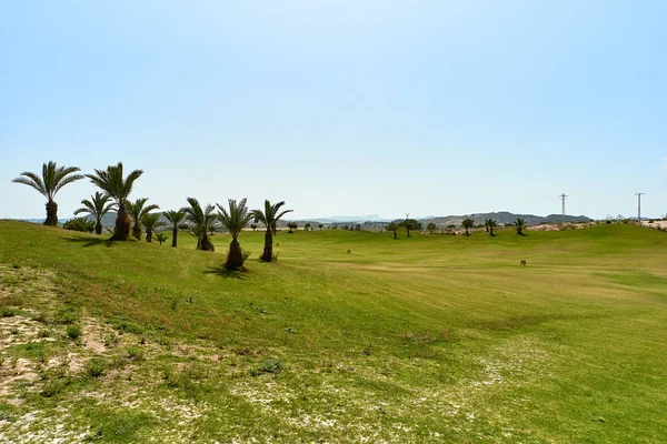 스페인에서 일반적인 골프 클럽 — 스톡 사진