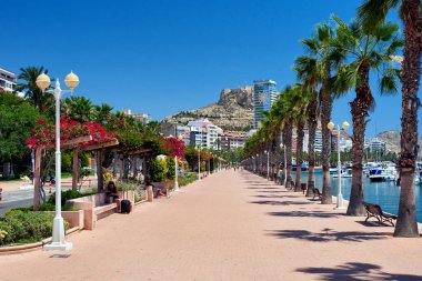 Sahil mesire Alicante