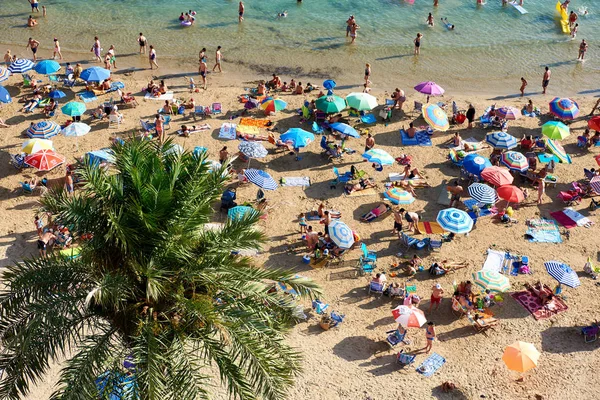 Costa di Playa del Cura nella città di Torrevieja. Spagna — Foto Stock