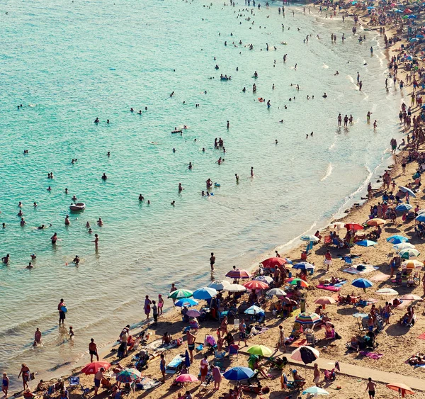 Litoral de Playa del Cura na cidade de Torrevieja no verão . Fotos De Bancos De Imagens