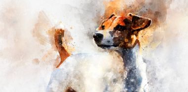 Jack Russell Terrier Köpeği