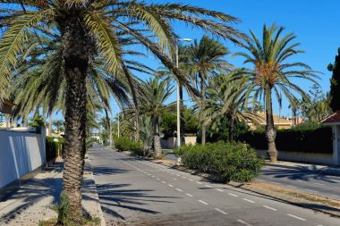 Boş palmiye kaplı Caddesi Cabo Roig. Costa Blanca. İspanya