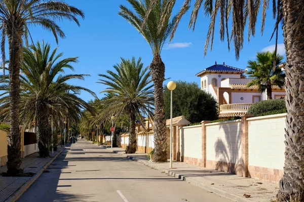 Rua vazia, ladeada por palmeiras, de Cabo Roig. Costa Blanca. Espanha — Fotografia de Stock