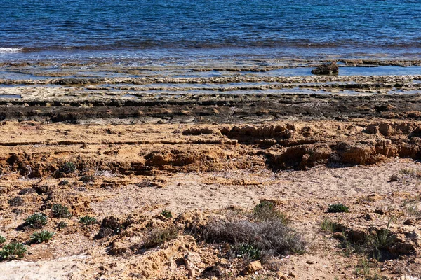 Βραχώδης παραλία της Torrevieja. Κόστα Μπλάνκα. Ισπανία — Φωτογραφία Αρχείου