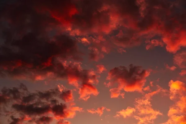 Beautiful bright sunset — Stock Photo, Image