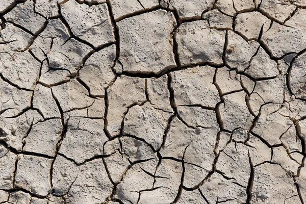 Textur von trockenem Land aus nächster Nähe — Stockfoto