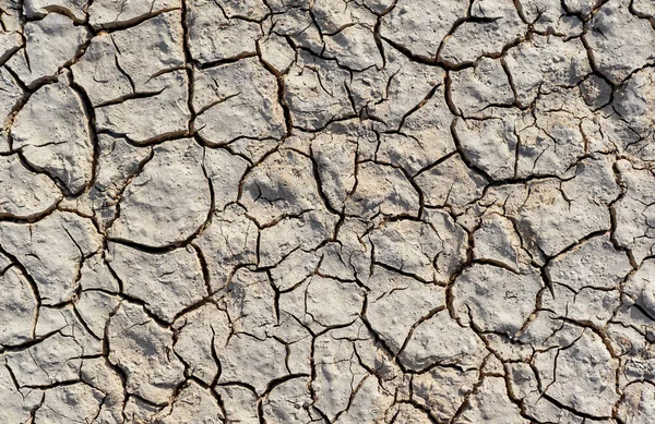 Textur von trockenem Land aus nächster Nähe — Stockfoto