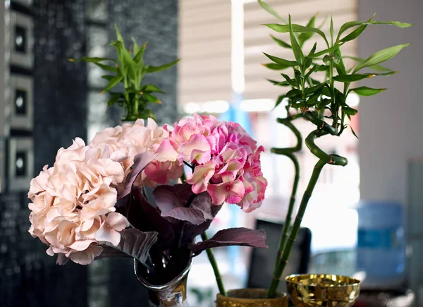 Kwiaty w domu — Zdjęcie stockowe