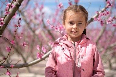 Lovely little girl in a grove of fruit trees. Spain clipart