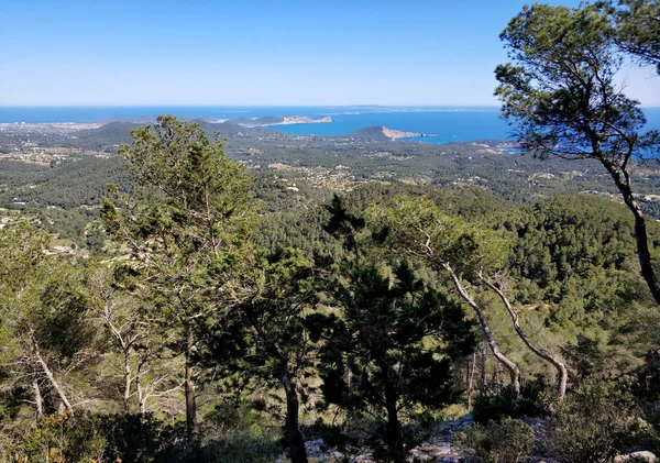 Côte Île Formentera Îles Baléares Espagne — Photo