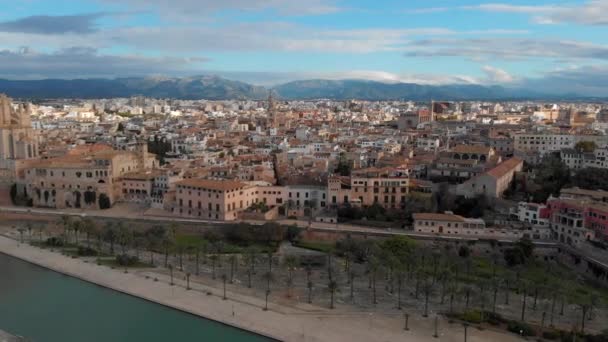 Αεροσκάφος Σημείο Πραγματικό Χρόνο Θέα Palma Mallorca Cityscape Κύρια Ορόσημο — Αρχείο Βίντεο