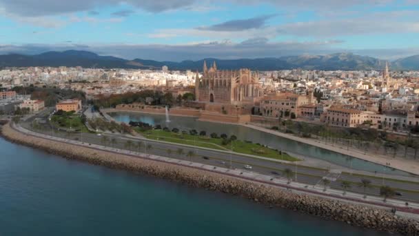 Aerial Drone Point Real Time View Palma Mallorca Cityscape Main — Stockvideo