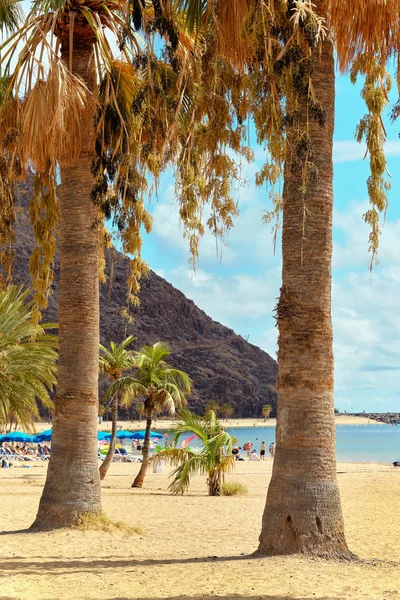 Playa de Las Teresitas — Stok fotoğraf