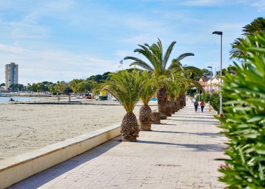 San Pedro del Pinatar palm trees lined promenade 