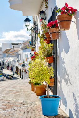 Empty pedestrian footpath and hanging flower pots on residential houses wall