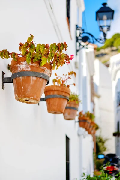 Close up image hanging flower pots in row on residential houses wall in pueblo blanco, charming small village of Mijas