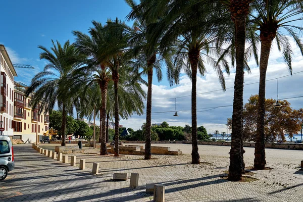 Lungomare soleggiato costiero palmo fiancheggiato strada vuota che conduce lungo il Mar Mediterraneo — Foto Stock